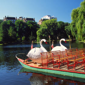 The Swan Boats in Boston