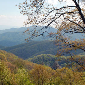 A Lookout in the Great Smokey Mountains National Park