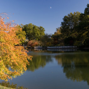 Fall Colours in Pullen Park