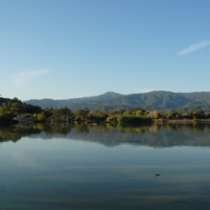 Reflections in Lake Almaden