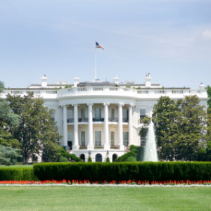 The White House