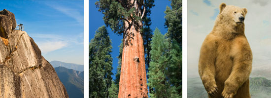 Sequoia - RV Rental