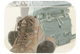 Hiking Trails Guide