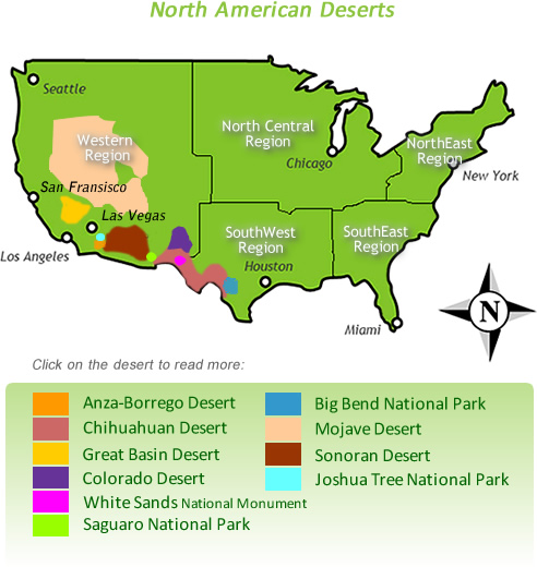 Vegetation Around Las Vegas, North American Deserts